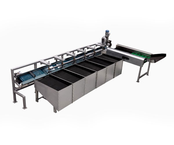 Apple Grading Machines Type I. - saw Agro Industries Pvt. Ltd. - dot B